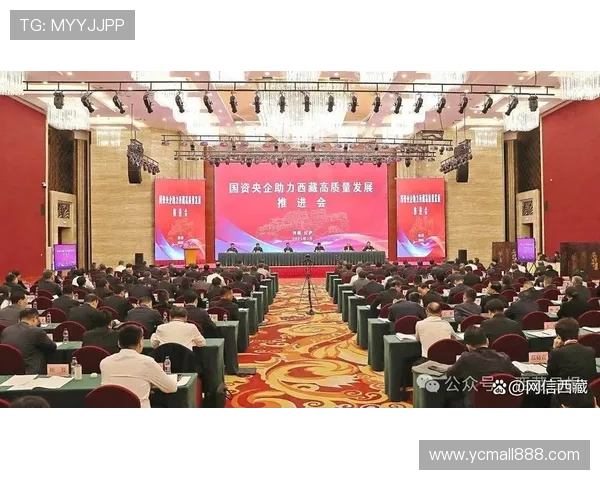 两会企业家深入建言推动经济高质量发展蓝图加速国家创新动力提升