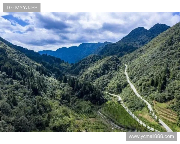 川渝领跑榜三云南再遭失利
